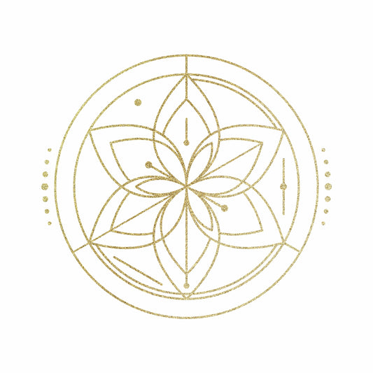 1:1 Consciousness Mentorship